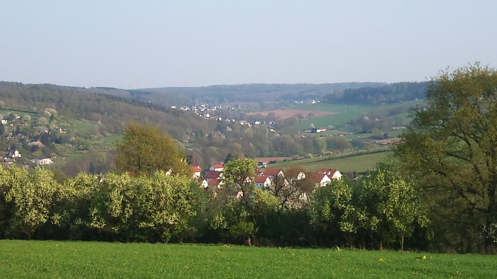 Отель Gasthof Und Pension Frankenthal - Garni Гера Экстерьер фото