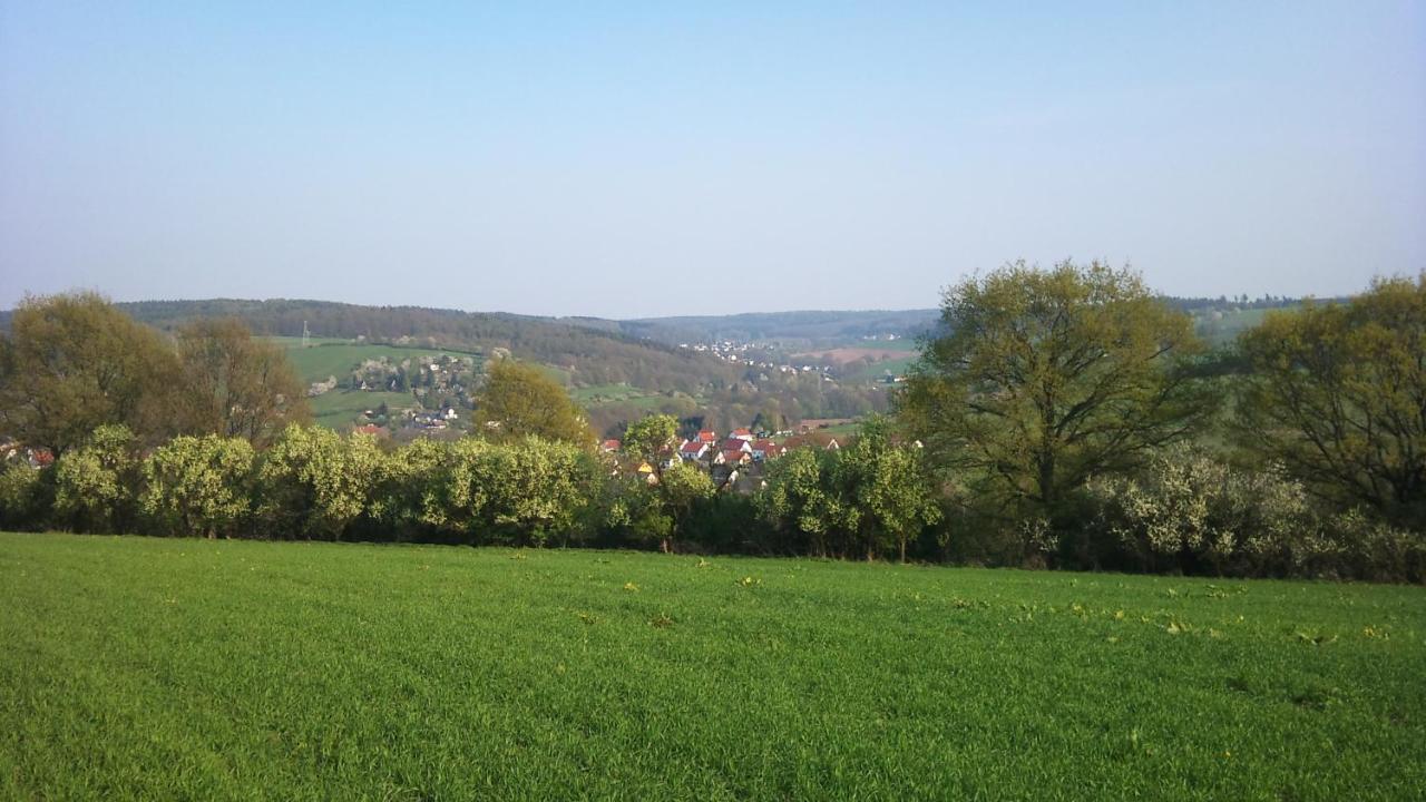 Отель Gasthof Und Pension Frankenthal - Garni Гера Экстерьер фото