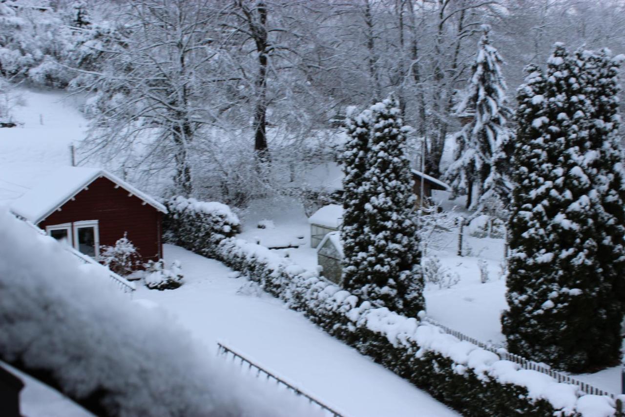 Отель Gasthof Und Pension Frankenthal - Garni Гера Экстерьер фото